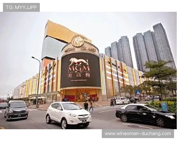 澳门美高梅娱乐场的安全保障措施，确保每位宾客的隐私与财产安全