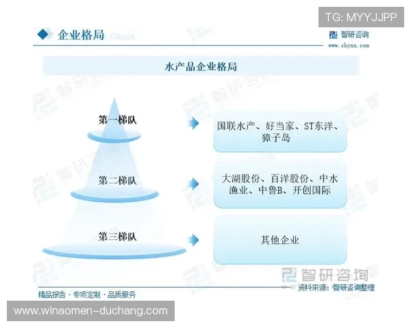 探讨银河嘉佩乐营收增长对竞争对手市场份额和行业格局的深远影响