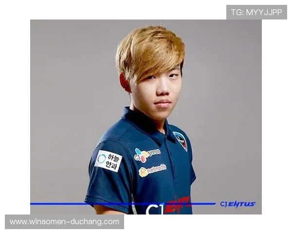 从 rookie 到高手：百家乐对刷的逐步提升与实用建议